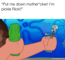 Pickle Rick GIF - Pickle Rick Im GIFs