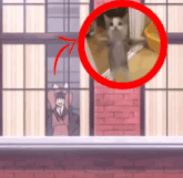 a cat standing on its hind legs in front of a window with a red circle around it