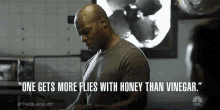 one gets more flies with honey than vinegar philosophy metaphor deep honey