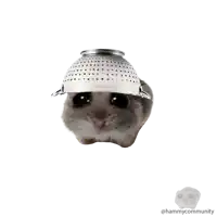 a hamster wearing a strainer on its head with a hammy community logo below it