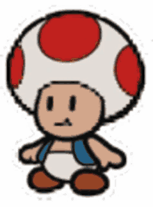 toad paper