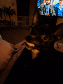 a dog is sitting in front of a television with a man in a blue jacket on it