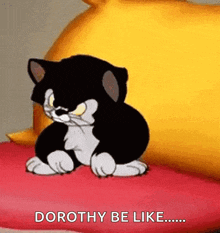 a black and white cat is sitting on a red pillow with the words dorothy be like written below it .
