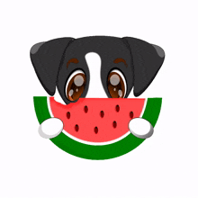 Zuma The Dog Watermelon GIF