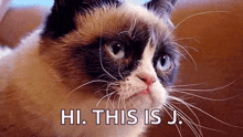 grumpy cat is looking at the camera with the words `` hi , this is j. ''