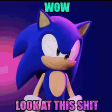 Sonic Look At This Shit GIF - Sonic Look At This Shit Shit GIFs