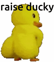 Dancing Ducky GIF - Dancing Ducky GIFs