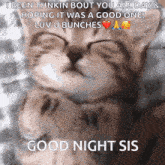 a cat is sleeping on a bed and says good night sis