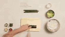 Sushi Cook GIF - Sushi Cook Prepare GIFs