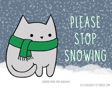 Stop Snowing Please Stop Snowing GIF