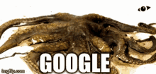Google Humourous Video GIF - Google Humourous Video Lhugueny GIFs