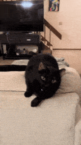 a black cat laying on a couch in front of a tv