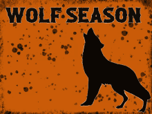 Wolfseason Wolfseasonrun GIF - Wolfseason Wolfseasonrun Wolf GIFs