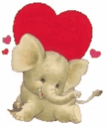 elephant heart happy love