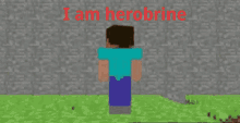 Herobrine I Am Herobrine GIF