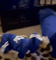 Romeo The Dog Stop Drop Roll GIF - Romeo The Dog Stop Drop Roll Get GIFs