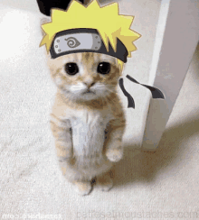 Naruto Anime Cat GIF - Naruto Anime Cat Meme Cat GIFs