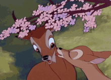 Bambi Deer GIF - Bambi Deer Lick GIFs