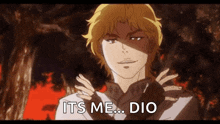 dio from jojo 's bizarre adventure is standing in front of a tree and says `` it 's me ... dio ''