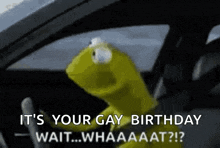 kermit the frog is driving a car and says it 's your gay birthday wait ... whaaaat ?