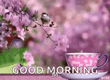 Flower Tea GIF - Flower Tea Good Morning GIFs