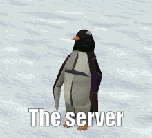 The Server Has Been Restarted Penguin GIF - The Server Has Been Restarted Penguin Penguin Bowing GIFs
