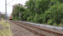 Obsessed With Trains Eastwood GIF