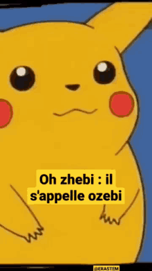 Ozebi Oh Zhebi GIF - Ozebi Oh Zhebi Pikachu GIFs