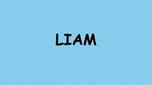 Liam Get Online GIF - Liam Get Online Online GIFs