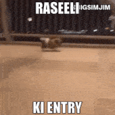 Raseeli Ki Entry GIF - Raseeli Ki Entry Entry Raseeli GIFs