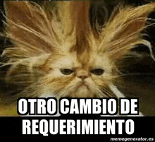 a cat with a messy haircut and the words otro cambio de requierimiento written below it