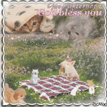 a greeting card that says good afternoon god bless you with animals on a blanket