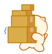 moving cute boxes cat tired