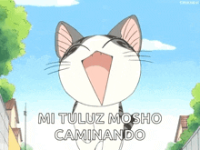 Cat Anime GIF - Cat Anime Chis Sweet Home GIFs