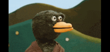 a stuffed animal with big eyes and a yellow beak looks at the camera