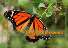 Happy Weekend Butterfly GIF - Happy Weekend Butterfly Weekend GIFs