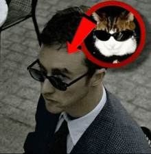 a man wearing sunglasses has a cat on his head