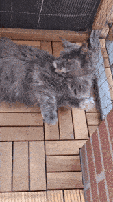 a gray cat is laying on a wooden floor next to a brick wall