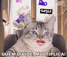 Quem Divide Multiplica Mtv Brasil GIF - Quem Divide Multiplica Mtv Brasil Palavras Sabias GIFs