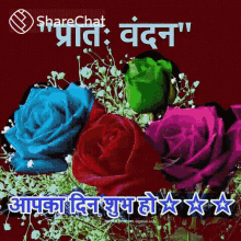 good morning have a nice day flowers sharechat
