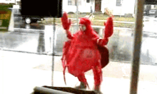 Costume Shrimp GIF - Costume Shrimp GIFs