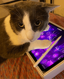 a cat is playing a game on a tablet that says 140 % on the screen