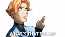 whats that thing sypha belnades castlevania what is that whats up with that thing