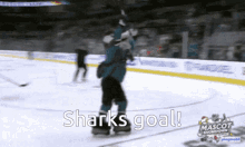 nhl sharks goal sharks goal ice hockey