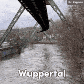 Wuppertal Trendizisst GIF - Wuppertal Wupper Trendizisst GIFs
