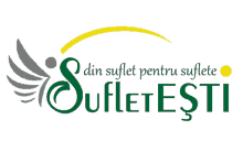 a logo for a company called din sufiet pentru sufite