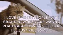Cat Driving GIF - Cat Driving Cars GIFs