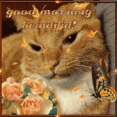 a picture of a cat with roses and butterflies with the words good morning beautiful