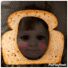 Sandwich Cute GIF - Sandwich Cute Baby GIFs