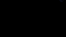 a black and white drawing of a bird with a shadow on the ground